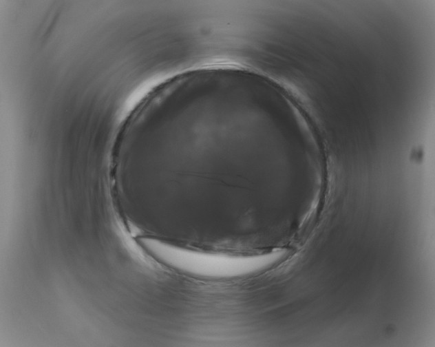 X0000113161422200909251341