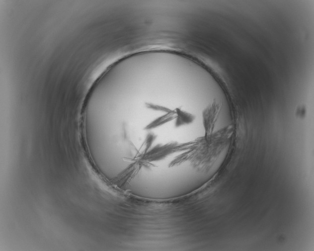 X0000113161423200909251341