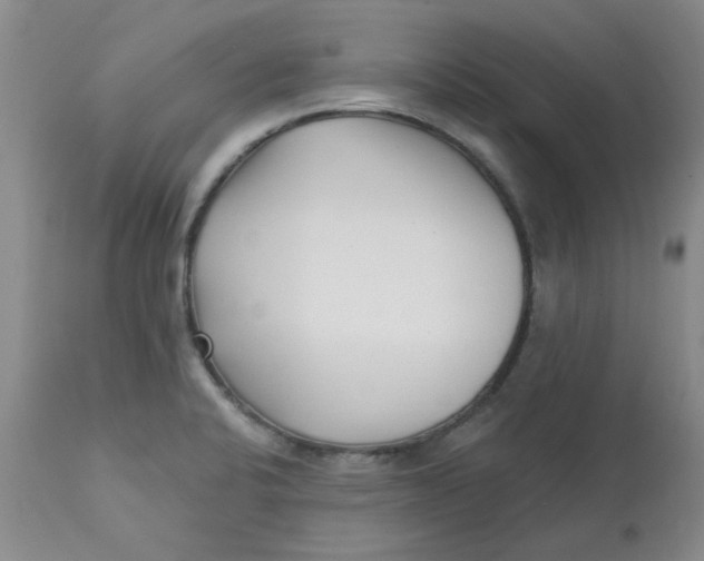 X0000113161424200909251341