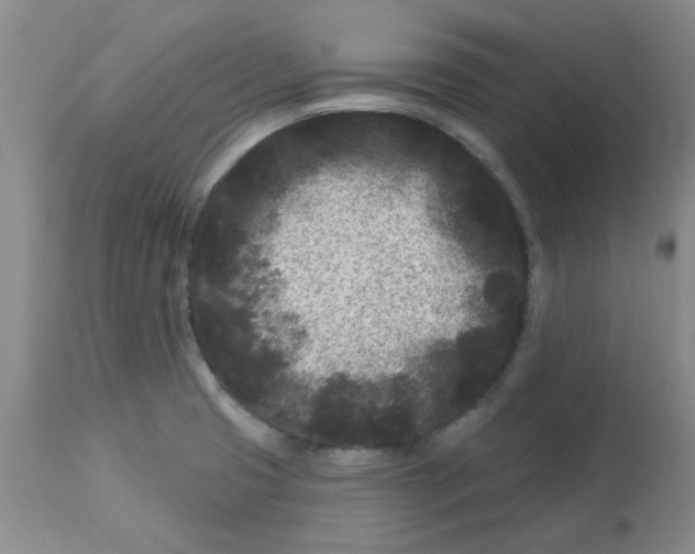 X0000113161425200909251341