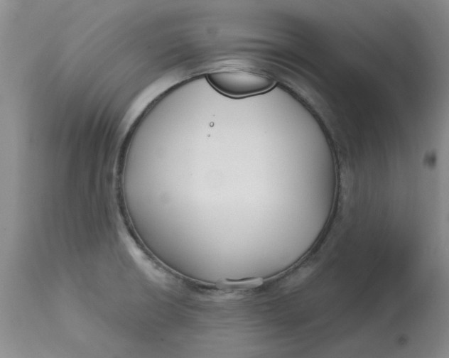 X0000113161426200909251341