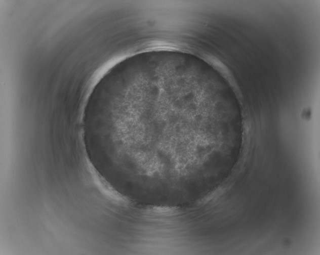 X0000113161427200909251341