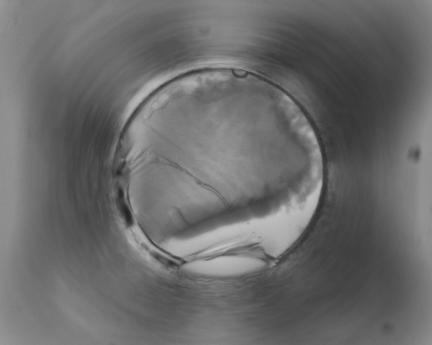 X0000113161428200909251341