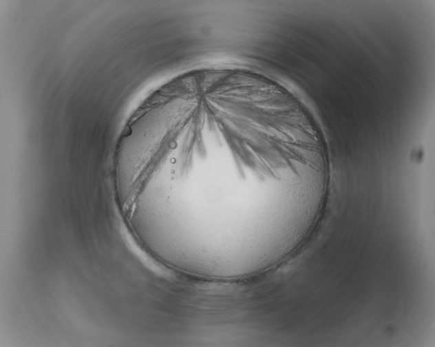 X0000113161429200909251341