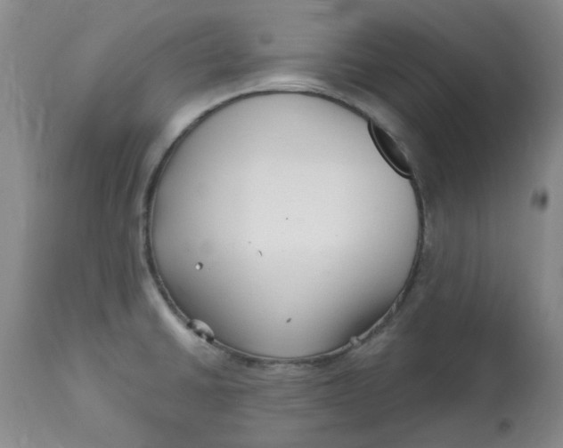 X0000113161430200909251341