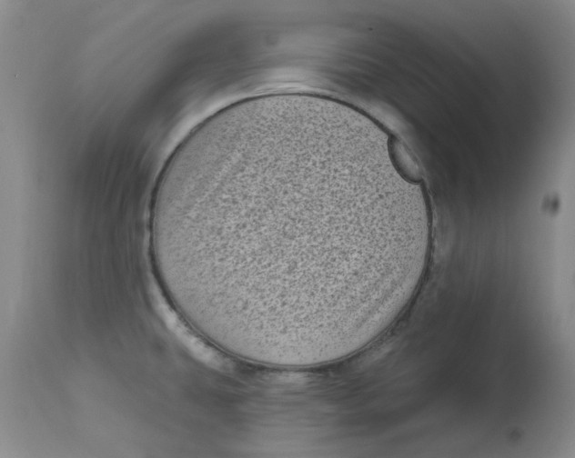 X0000113161431200909251341