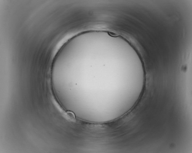 X0000113161432200909251341