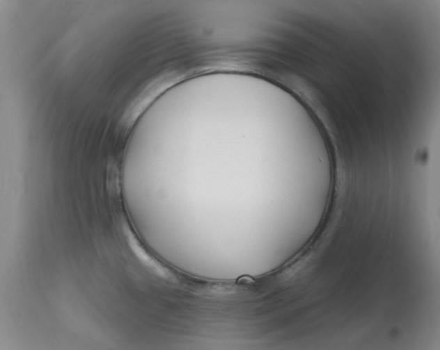 X0000113161433200909251341