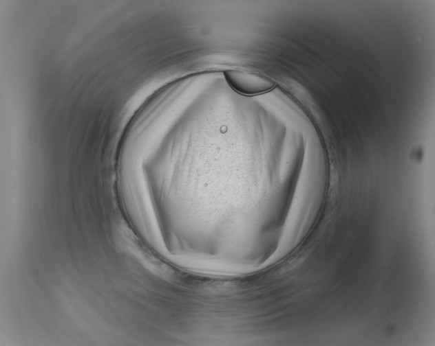 X0000113161435200909251341