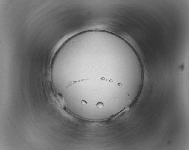 X0000113161436200909251341