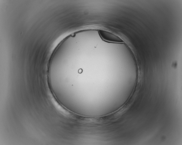 X0000113161438200909251341