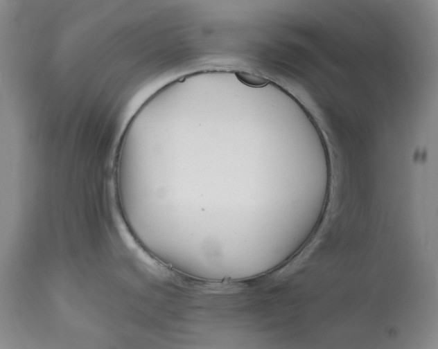 X0000113161440200909251341