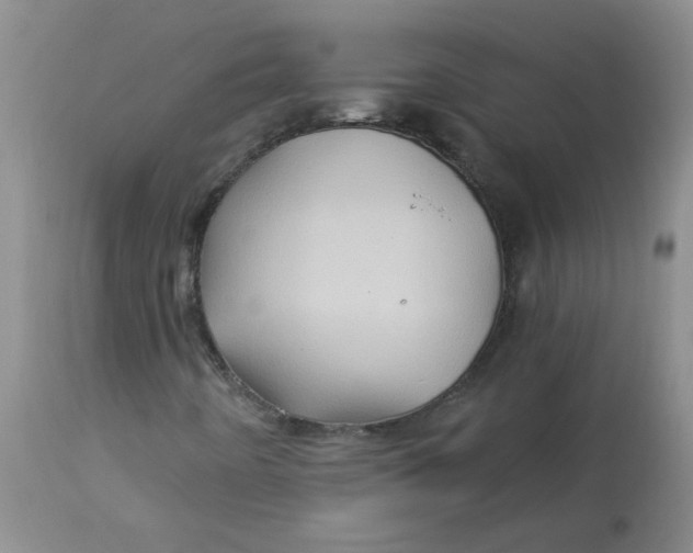 X0000113161442200909251340