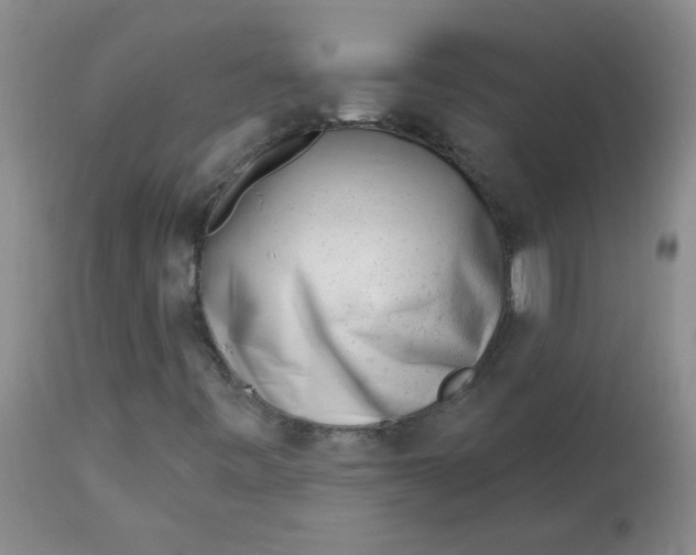 X0000113161443200909251340