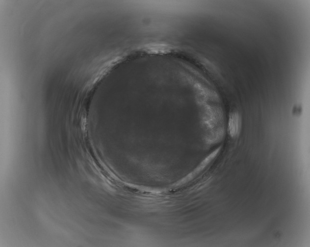 X0000113161444200909251340