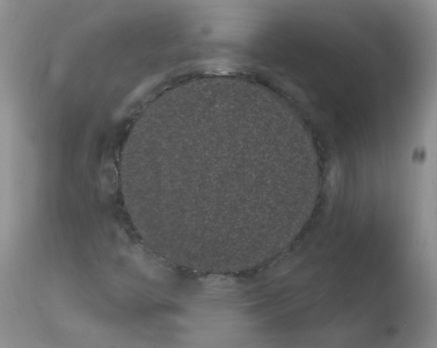 X0000113161446200909251340