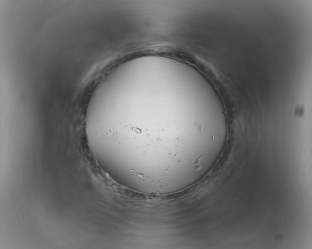 X0000113161447200909251340