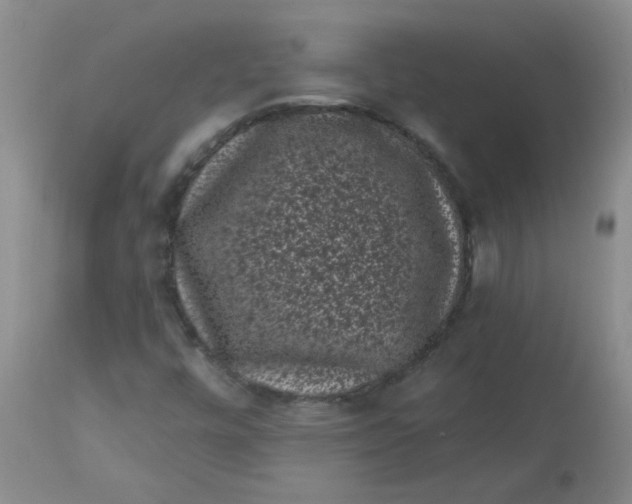 X0000113161448200909251340