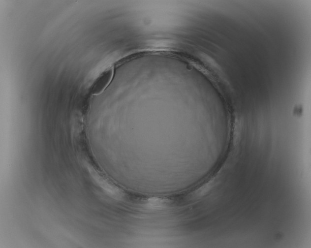 X0000113161449200909251340