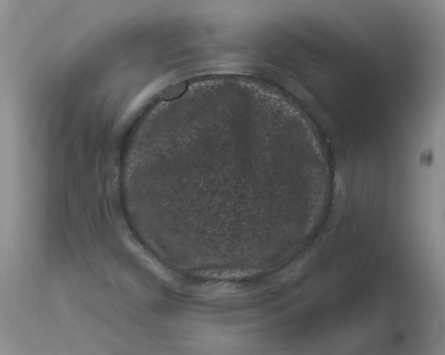 X0000113161450200909251340