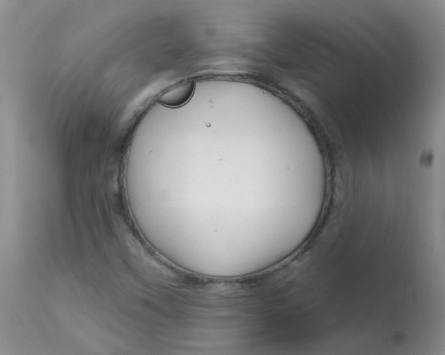 X0000113161451200909251340