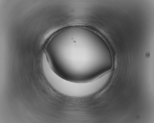 X0000113161453200909251340