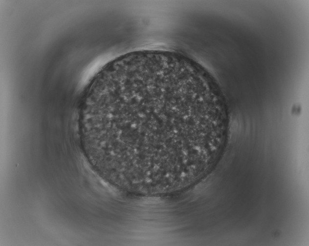 X0000113161455200909251340