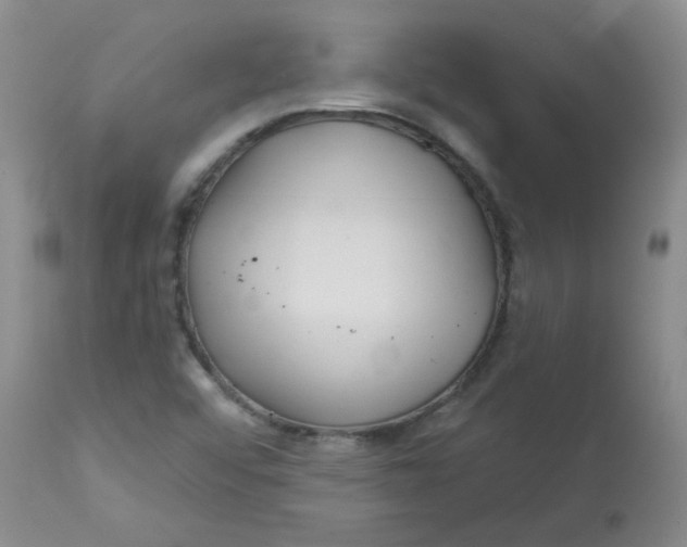 X0000113161456200909251340