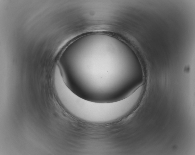 X0000113161457200909251340