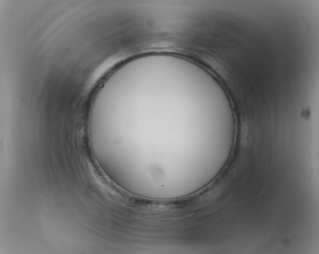 X0000113161458200909251340