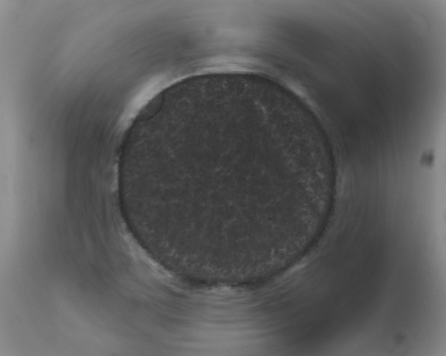 X0000113161459200909251340