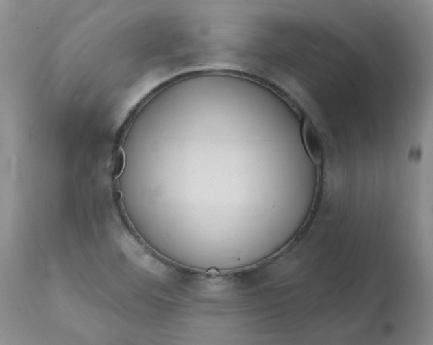 X0000113161460200909251340