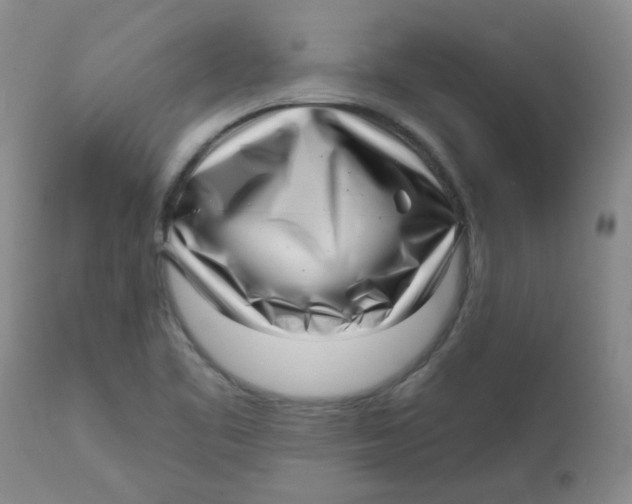 X0000113161461200909251340