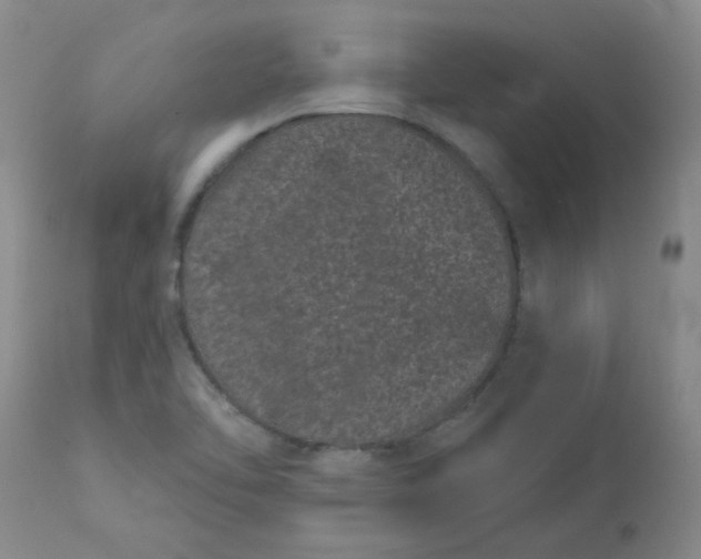 X0000113161462200909251340