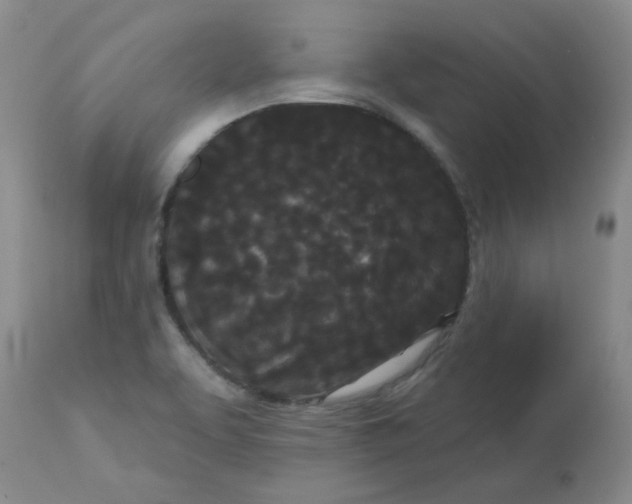 X0000113161463200909251340