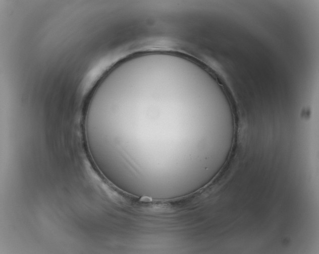 X0000113161464200909251340