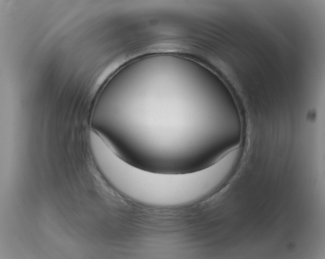 X0000113161465200909251340