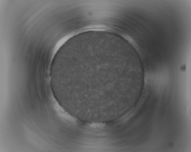 X0000113161466200909251340