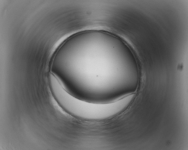 X0000113161468200909251340