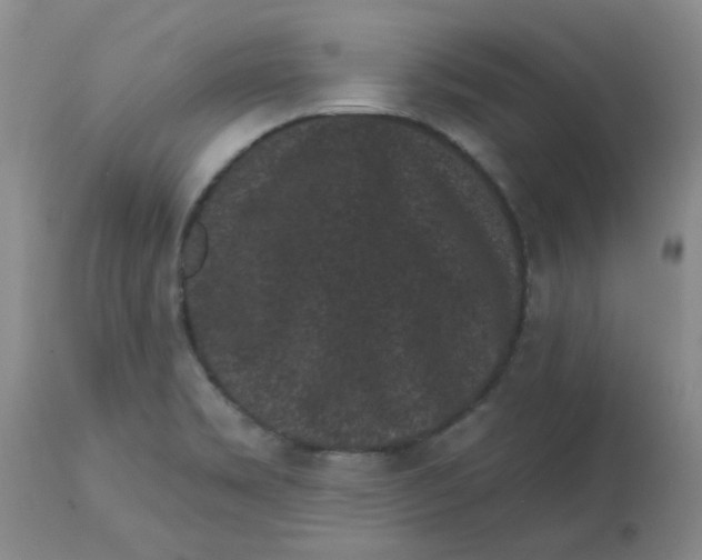 X0000113161469200909251340