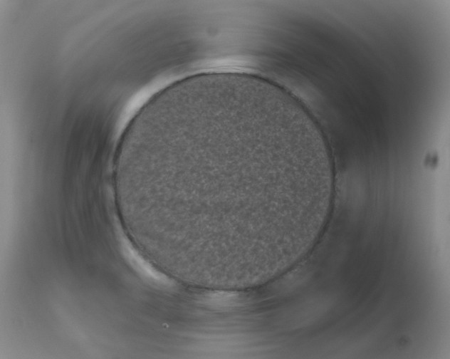 X0000113161470200909251340