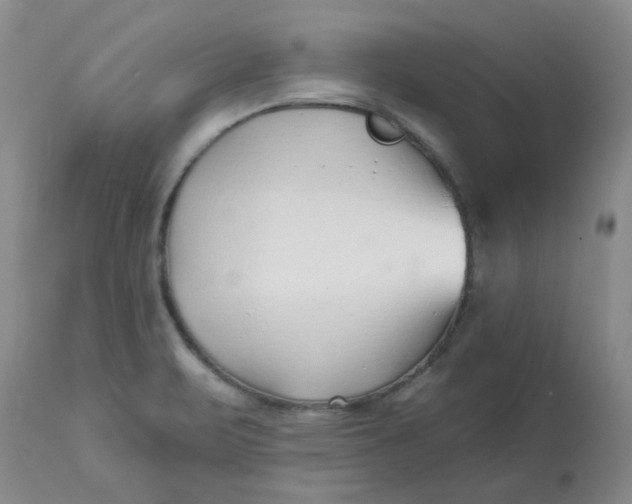 X0000113161471200909251340