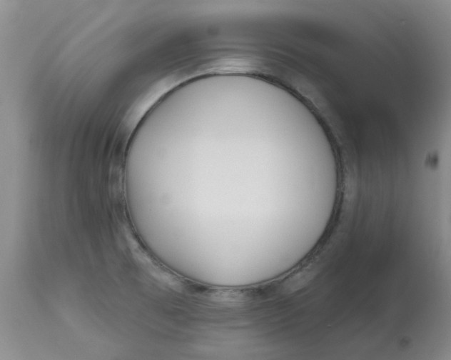 X0000113161473200909251340