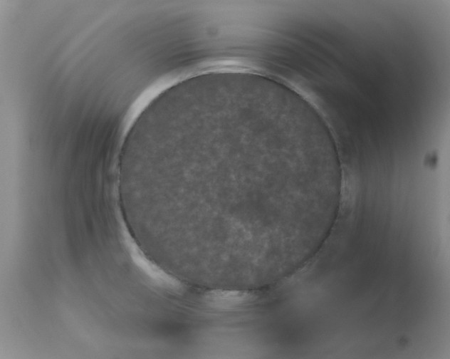 X0000113161474200909251340