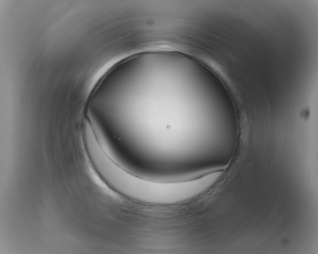 X0000113161476200909251340