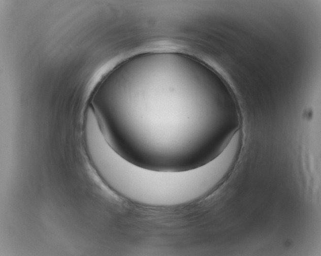 X0000113161477200909251340