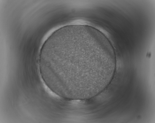 X0000113161478200909251340