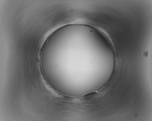 X0000113161480200909251340