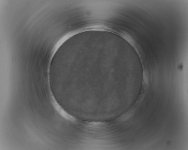 X0000113161482200909251340