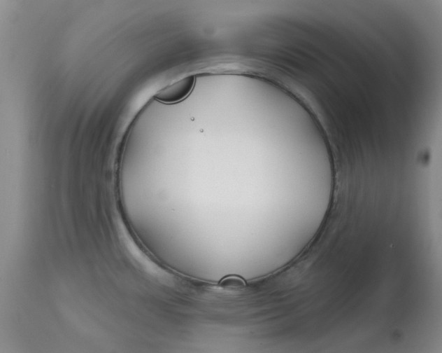 X0000113161483200909251340